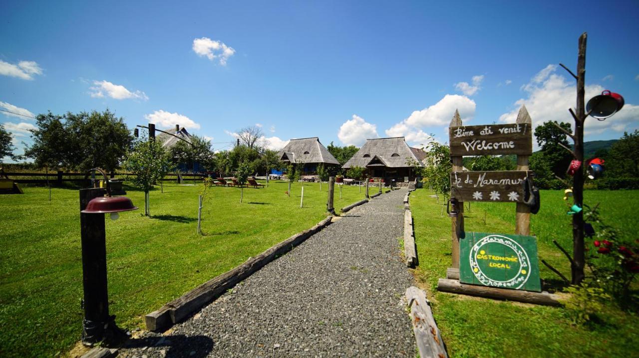 Iz De Maramures Rural Hotel (Adults Only) Surdesti  المظهر الخارجي الصورة