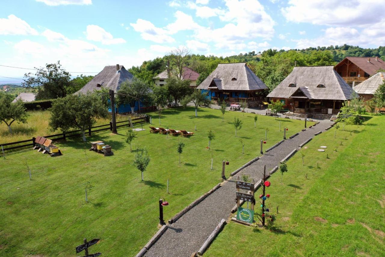 Iz De Maramures Rural Hotel (Adults Only) Surdesti  المظهر الخارجي الصورة