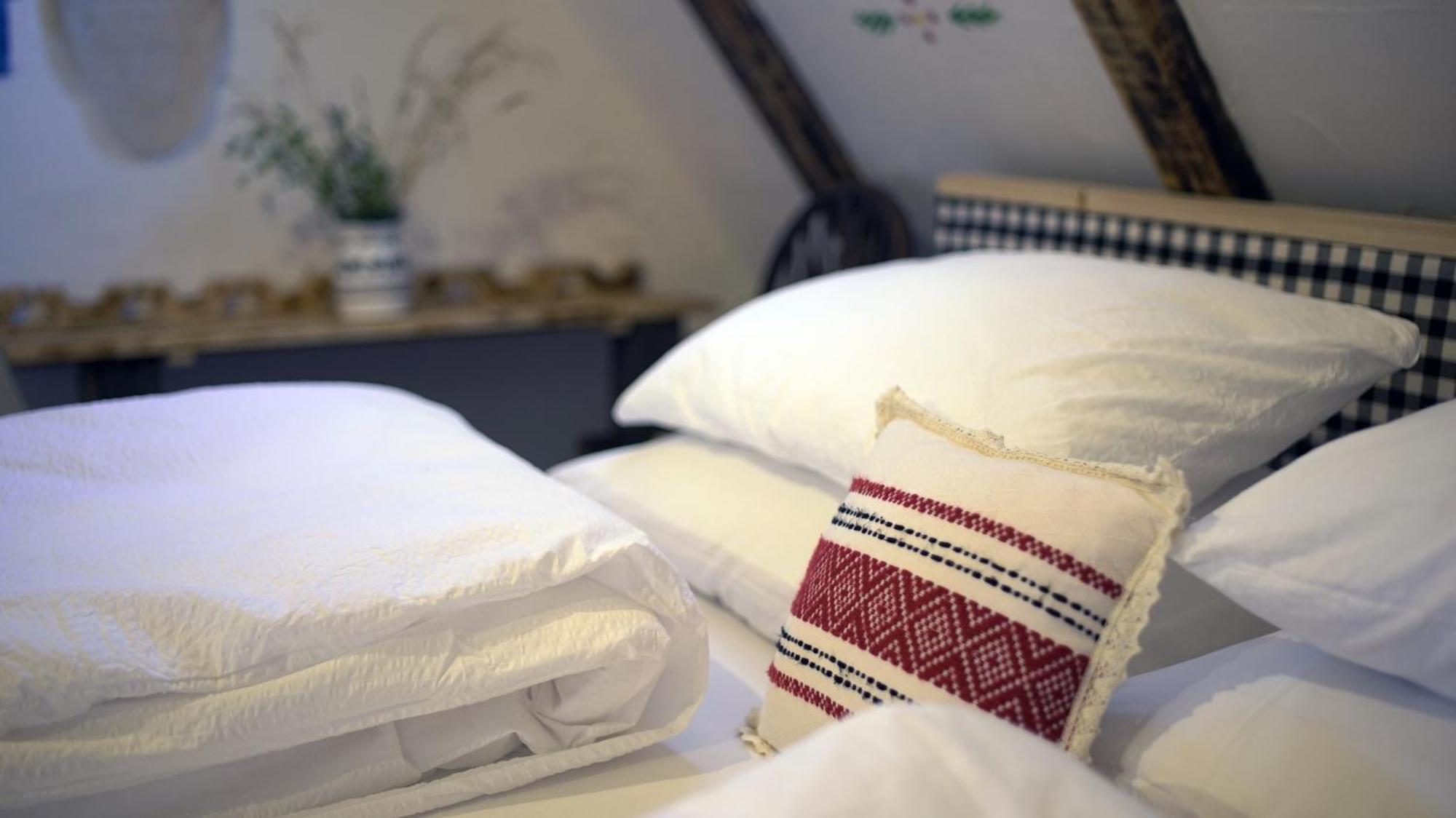 Iz De Maramures Rural Hotel (Adults Only) Surdesti  المظهر الخارجي الصورة