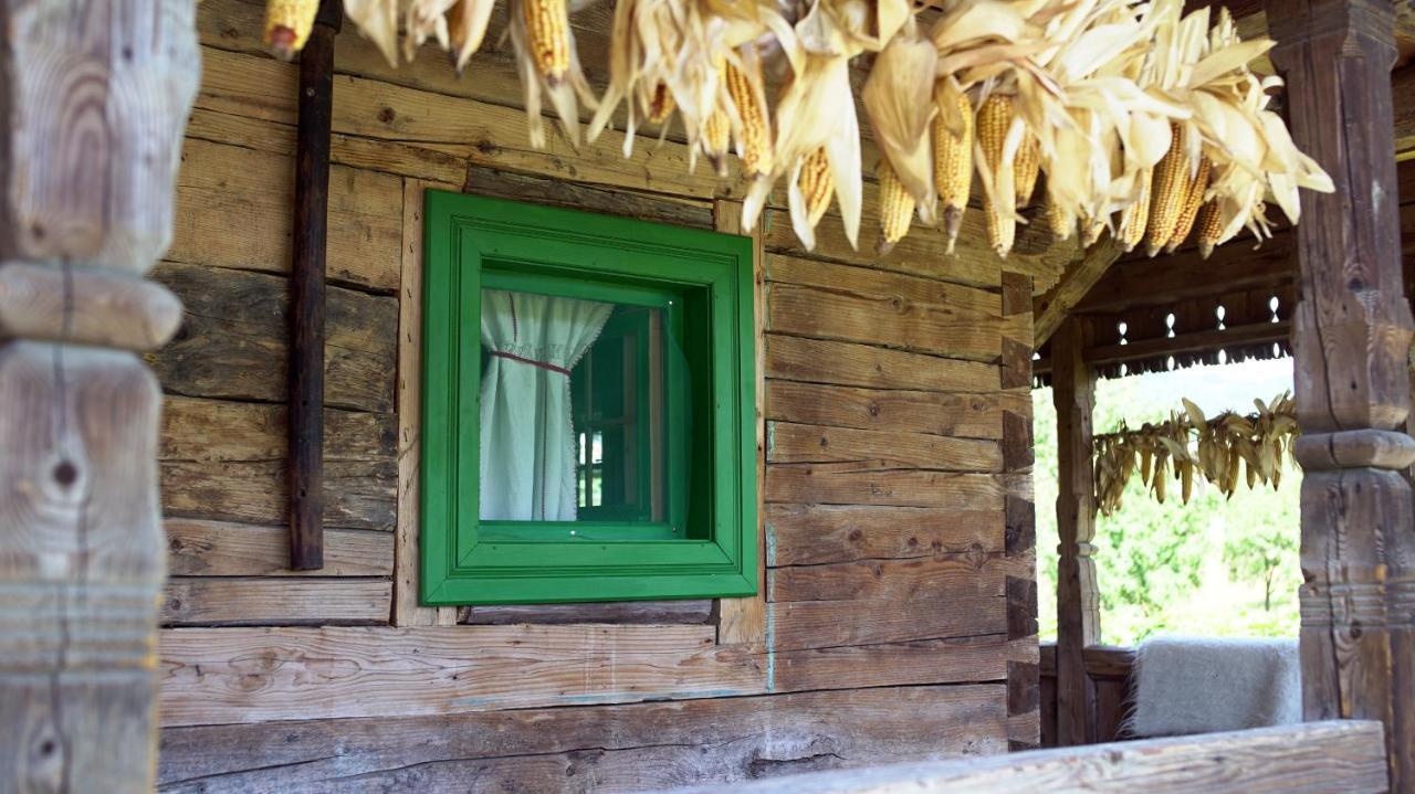 Iz De Maramures Rural Hotel (Adults Only) Surdesti  المظهر الخارجي الصورة