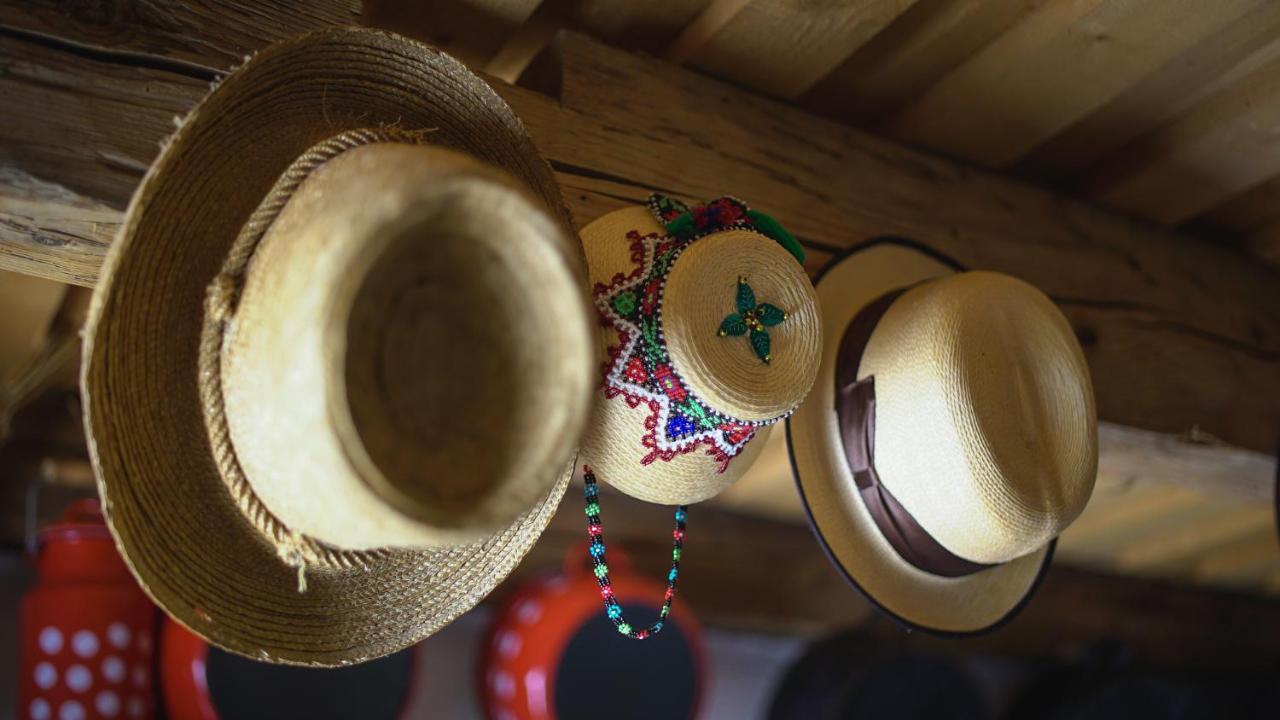 Iz De Maramures Rural Hotel (Adults Only) Surdesti  المظهر الخارجي الصورة