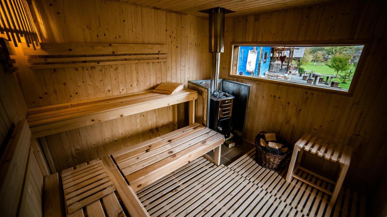 Iz De Maramures Rural Hotel (Adults Only) Surdesti  المظهر الخارجي الصورة